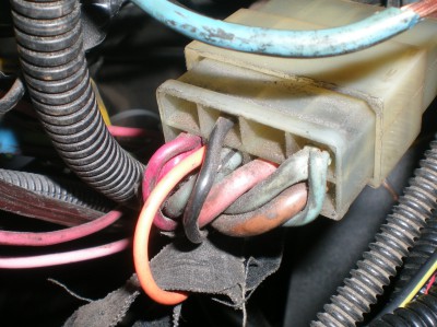 RSCN3019.JPG