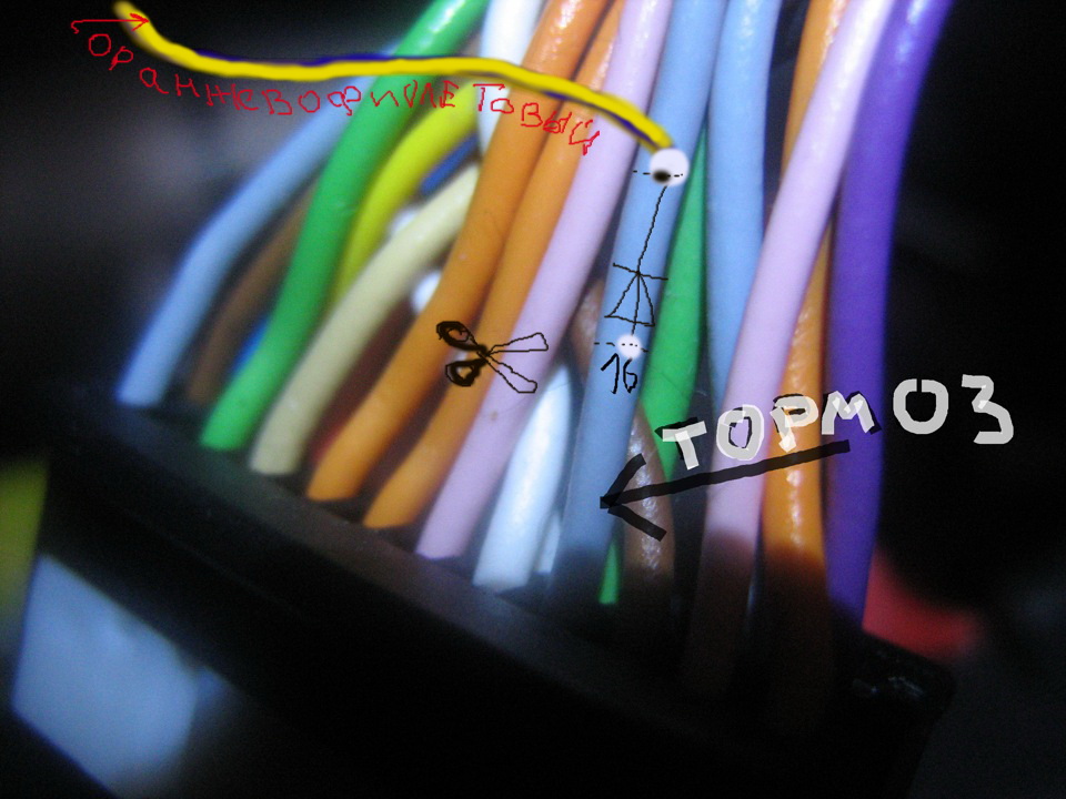 751e77u-960.jpg