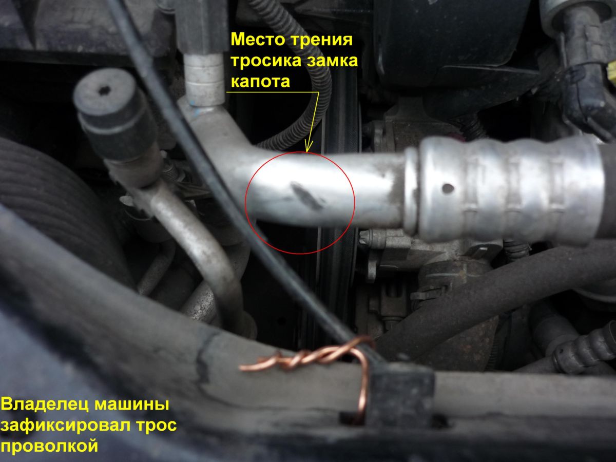 Копия P1000521.JPG