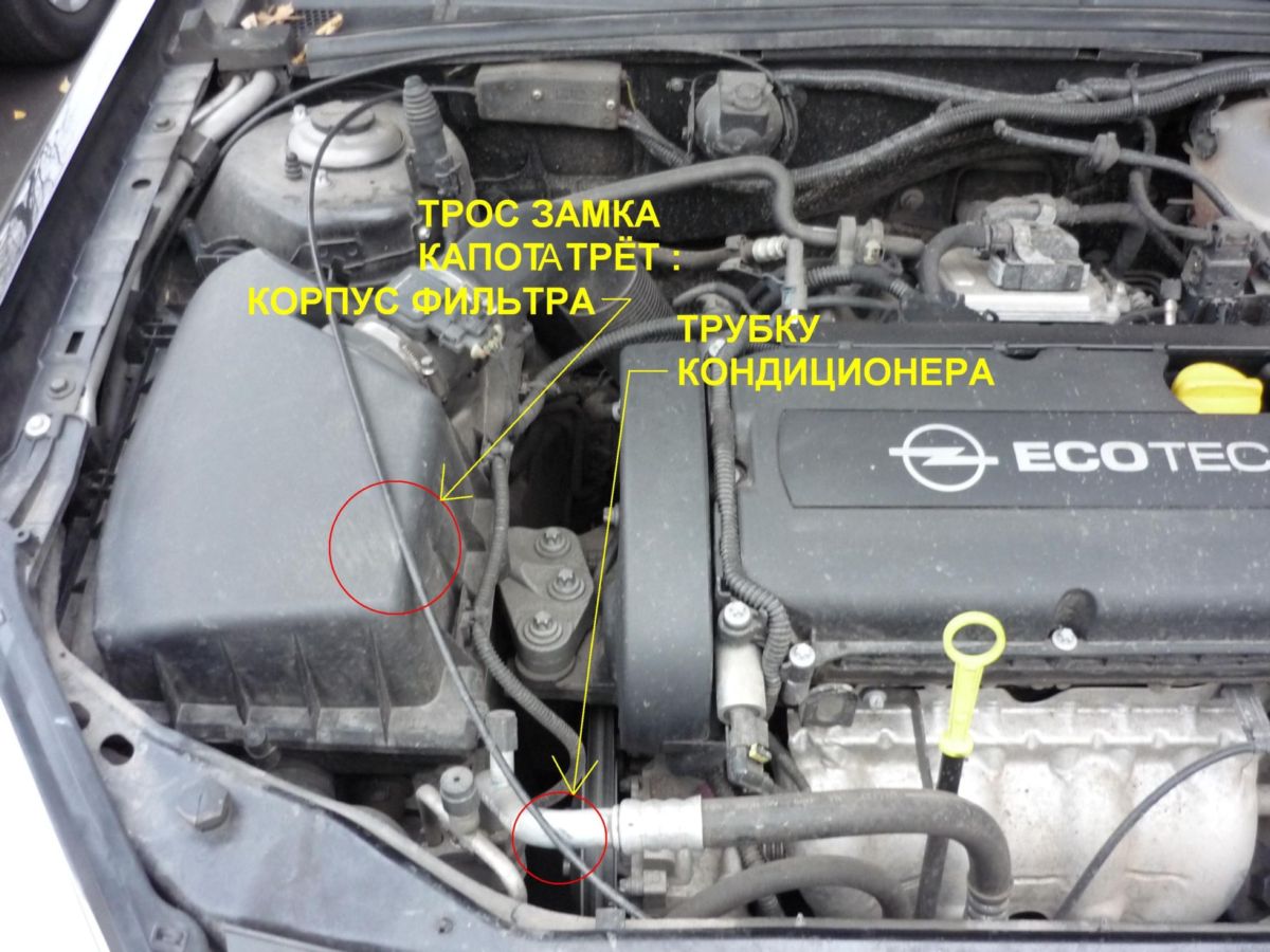 Копия P1000524.JPG