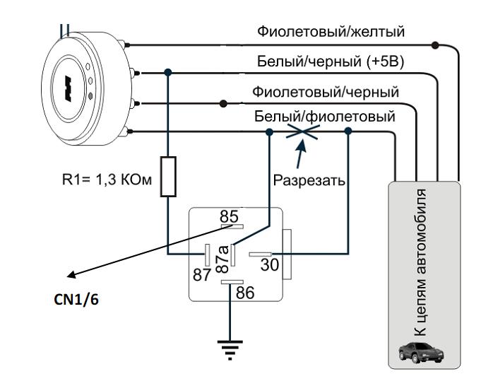 sk1.JPG